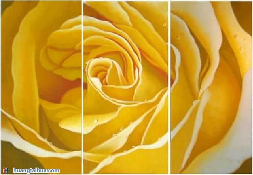 花卉画,花卉画图片,黄玫瑰,三联画