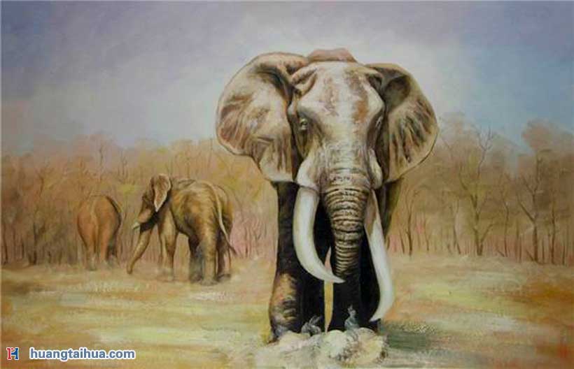 森林附近草原的大象群森林附近草原的大象群作品图片