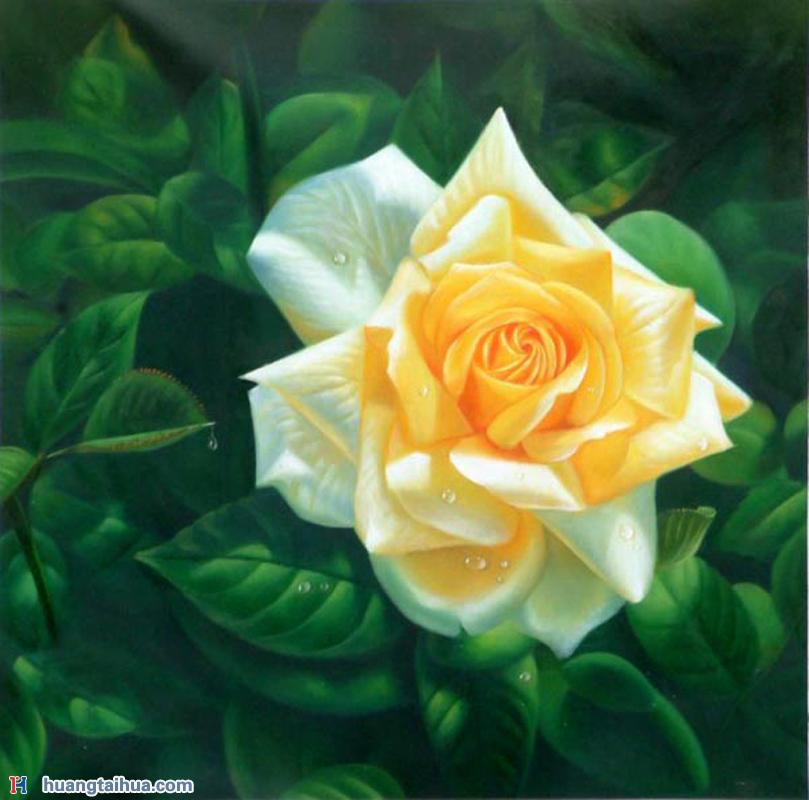 玫瑰园,黄玫瑰,玫瑰花油画图片