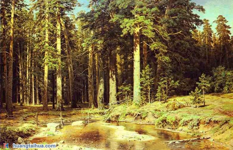 造船木森林,大树森林风景,森林景油画图片