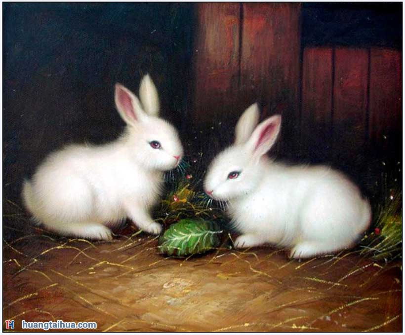 侏儒海棠兔，全身为纯白的侏儒海棠兔侏儒海棠兔，全身为纯白的侏儒海棠兔作品图片
