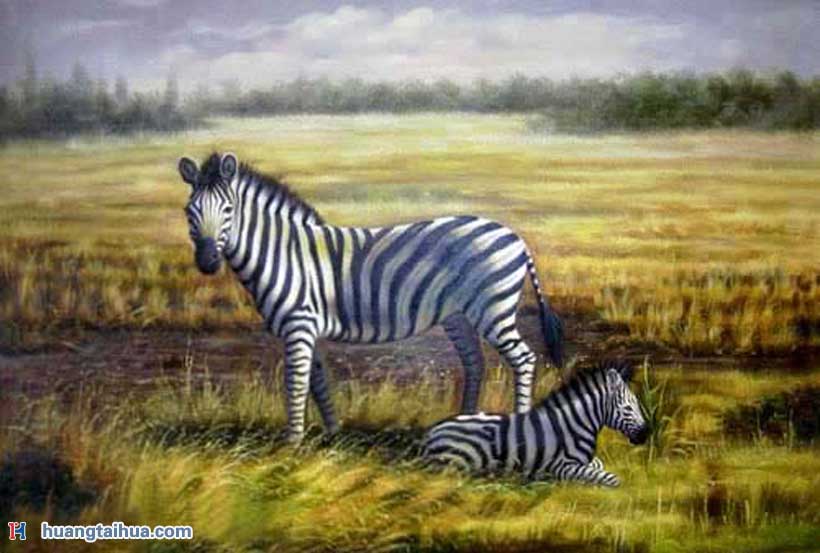 小斑马和母斑马在草原上小斑马和母斑马在草原上作品图片