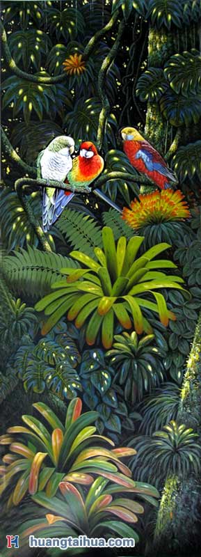 金刚鹦鹉热带森林金刚鹦鹉热带森林作品图片