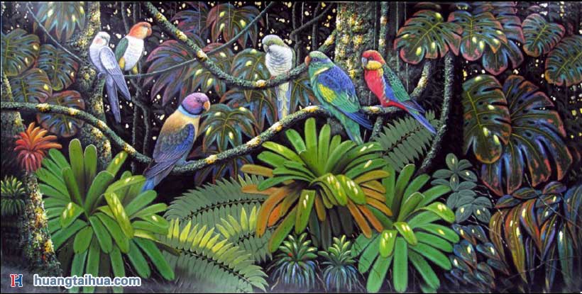 动物画,动物画图片,金刚鹦鹉,热带森林鹦鹉