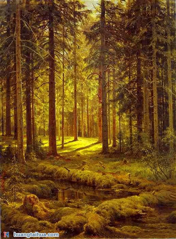 正午森林景,森林景油画图片